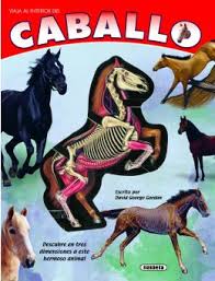 VIAJE AL INTERIOR DEL CABALLO