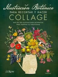 ILUSTRACIÓN BOTÁNICA PARA RECORDAR Y HACER COLLAGE