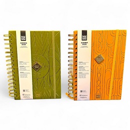 AGENDA BIG LIFE 2026 INDIE VERDE SEM/VISTA