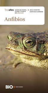 ANFIBIOS. GUÍA DE FAUNA FLORES Y FUNGA EN URUGUAY