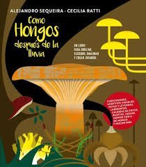 COMO HONGOS DESPUES DE LA LLUVIA